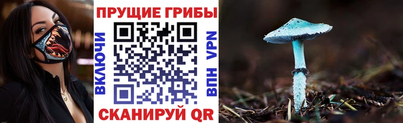 Галлюциногенные грибы прущие грибы  Азнакаево 